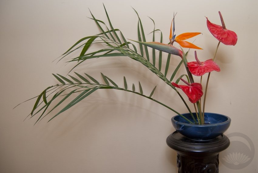 Tropical Fire Ikebana