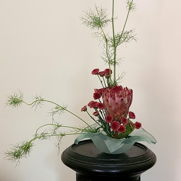 I've been working behind the scenes getting everything updated and fixed up, clearing out spam, and generally doing "invisible" projects for a while now...https://moonblossom.net/blog/2025/06/a-fresh-start/

apologies explanations hope ikebana nigella poll protea